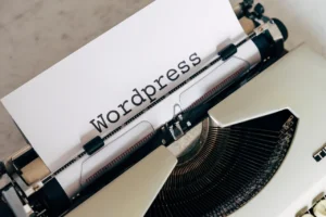 Custom Post Types WordPress: Maken, Inrichten & Optimaliseren